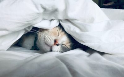 5 Tipps für besseren Schlaf